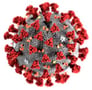 Coronavirus-1
