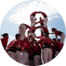 Equipo redondito