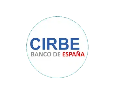 RECTIFICAR CIRBE